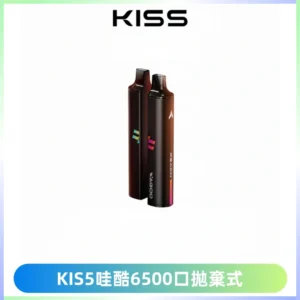 KIS5WAGOO哇酷6500口拋棄式 | 自由混搭雙口味 | 雙芯組合